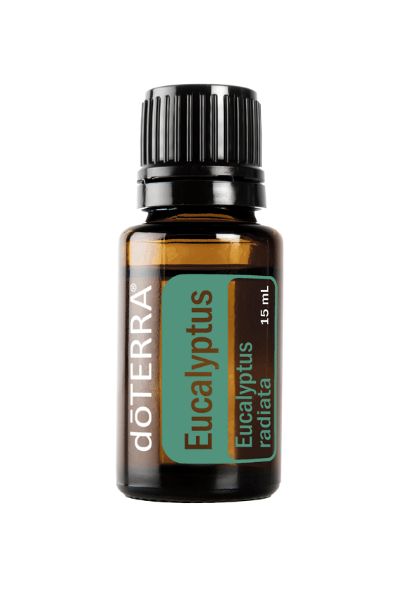 eucalyptus oil ecofriendly kitchen